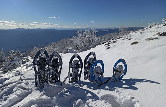 SnowShoeing