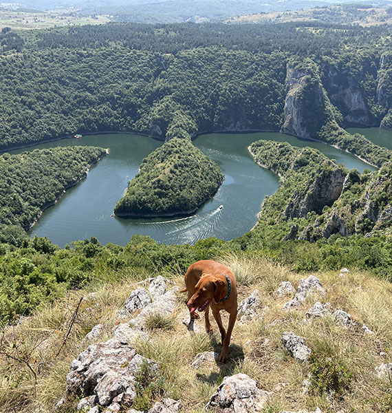 Zlatar mountain and Uvac river