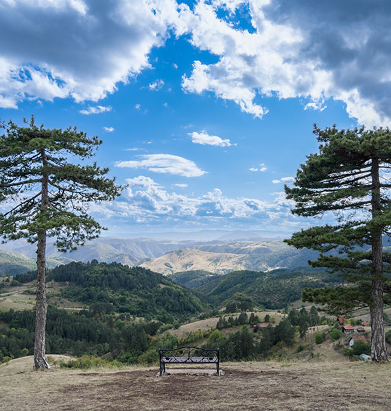 Zlatibor mountain